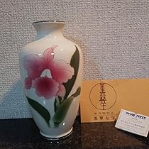 七宝焼　有線　黒翠七宝　カトレア　赤透け　並形　6号　花瓶　高さ19cm　箱付き 七宝焼 有線 黒翠七宝 カトレア 赤透け 並形 6号 花瓶 高さ19cm